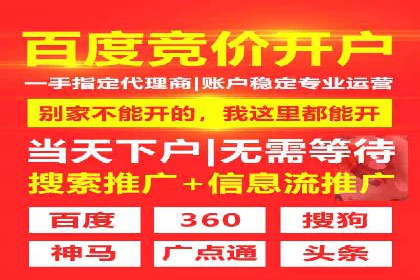 SEM推广实战：成功案例剖析